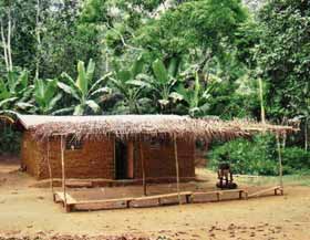 Campement Pygmée Bagyeli
